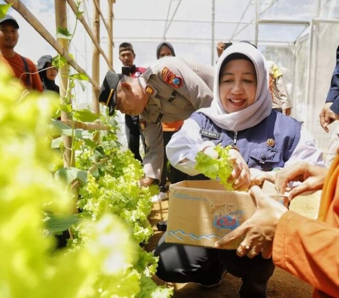 
					Pjs Bupati Trenggalek Dukung Emak-Emak Manfaatkan Pekarangan Untuk Tanam Sayur