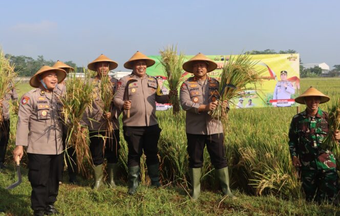 
					Dukung Swasembada Pangan, Polres Wonogiri Panen Raya Padi di Selogiri