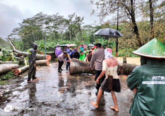 
					Hujan Deras Akibatkan Pohon Tumbang dan Tutupi Jalan di Jalur Kampak – Munjungan, Lalulintas Kendaraan Sempat Tersendat