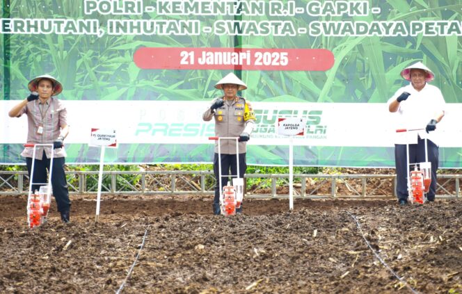 
					Wujudkan Ketahanan Pangan Nasional, Polda Jateng Tanam  Bibit Jagung di 4.906 Hektar Lahan Pertanian