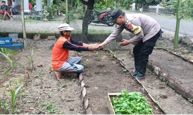 
					Dukung Ketahanan Pangan, Bhabinkamtibmas Gondang Polres Nganjuk Bagikan 930 Bibit Tanaman 
