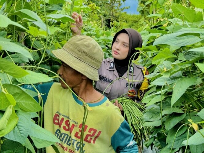
					Brigpol Sufiana Maya Ubah Pekarangan Warga Jadi Kebun Sayur yang Produktif