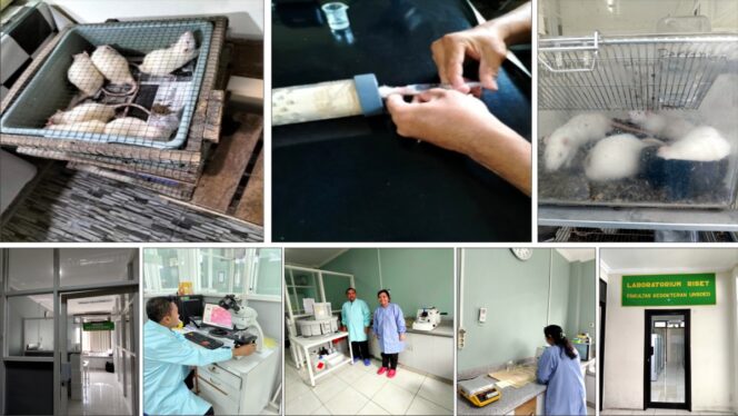 
					Terobosan Terapi Komplementer Teknologi Nano Kombinasi NO, Mg dan GNH 