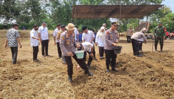 
					Dukung Ketahanan Pangan, Polres Wonogiri Tanam Jagung di Desa Mangunharjo Kecamatan Jatipurno