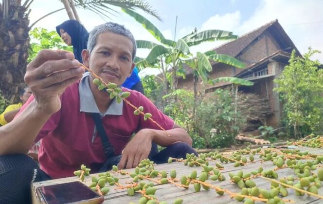 
					Pria di Ponorogo berbagi Kurma muda gratis hasil panen Sendiri
