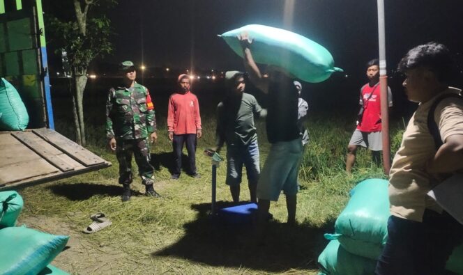 
					Malam Hari, Babinsa Tetap Aktif Dampingi Petani Pastikan Serapan Gabah ke Bulog Berjalan Lancar