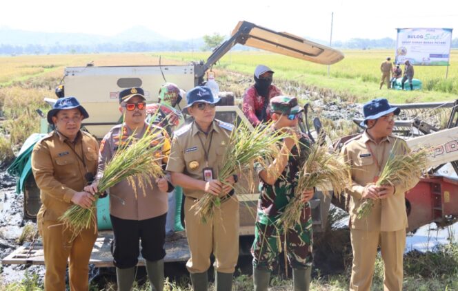 
					Kapolres Wonogiri Hadiri Panen Raya Padi Serentak Bersama Forkopimda