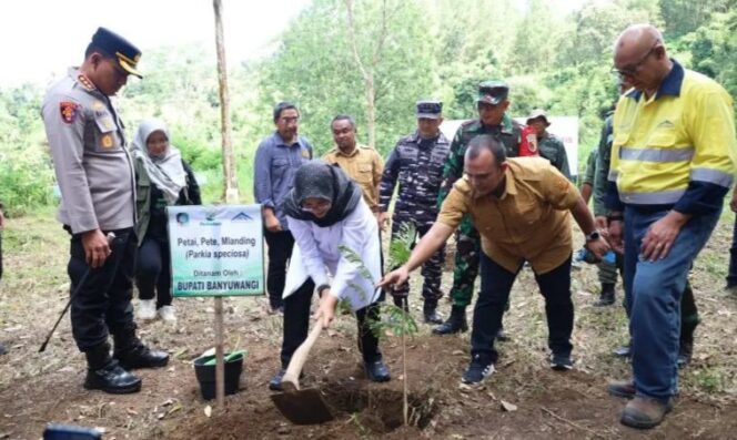 
					Cegah Krisis Lingkungan, Pemkab Banyuwangi Lakukan Penghijauan di Lereng Gunung Ijen