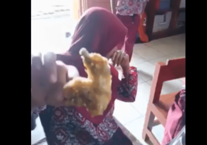 
					Kasus dugaan keracunan makanan bergizi gratis (MBG) yang belum selesai di Cianjur kembali terulang di Sulawesi Tenggara. Pada Rabu, 23 April 2025, puluhan siswa SDN 33 Kasipute, Kabupaten Bombana (Foto: tangkapan layar @neVerAl0nely)