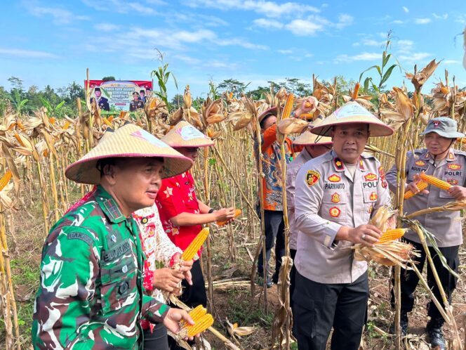 
					Panen Raya Jagung Serentak, Polres Wonogiri Siap Dukung Ketahanan Pangan Nasional