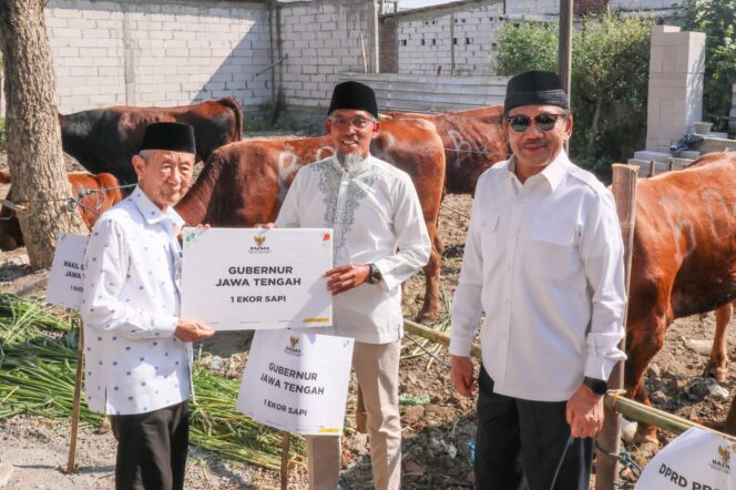
					Badan Amil Zakat Nasional (Baznas) Jawa Tengah kembali menggelar program inovatif pada Hari Raya Iduladha 1446 Hijriah dengan menyembelih 116 ekor sapi di Rumah Pemotongan Hewan (RPH) Masjid Agung Jawa Tengah (MAJT), Kota Semarang, pada Sabtu, 7 Juni 2025. (Foto: Syahidan)

