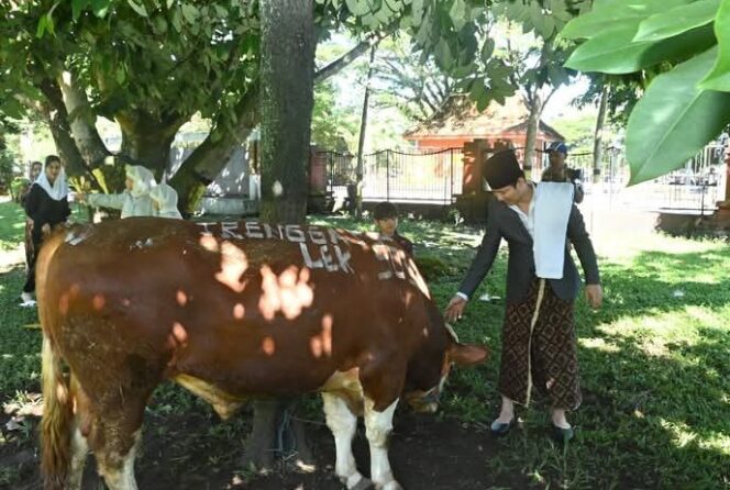 
					Bupati Trenggalek Serahkan Hewan Kurban untuk Warga Terdampak Bencana Desa Depok