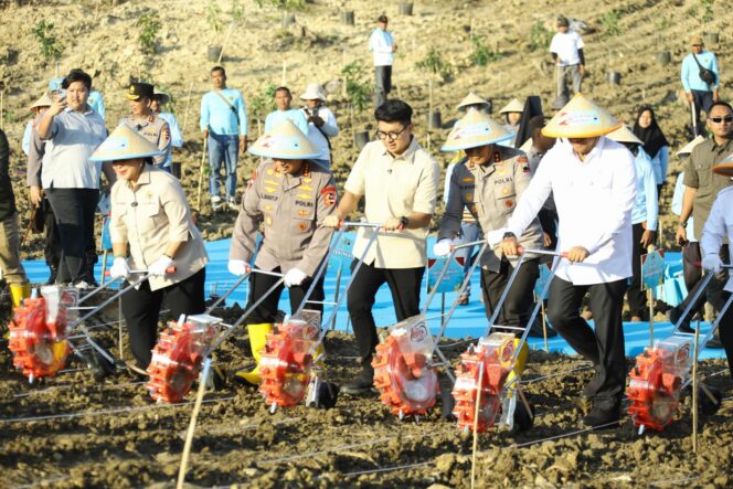 
					Kapolri Pimpin Penanaman Jagung Serentak di Grobogan, Wujudkan Swasembada Pangan Nasional