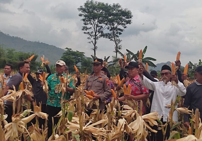 
					Farmers Field Day di Tirtomoyo: Polres Wonogiri Dukung Penuh Peningkatan Produktifitas Pertanian