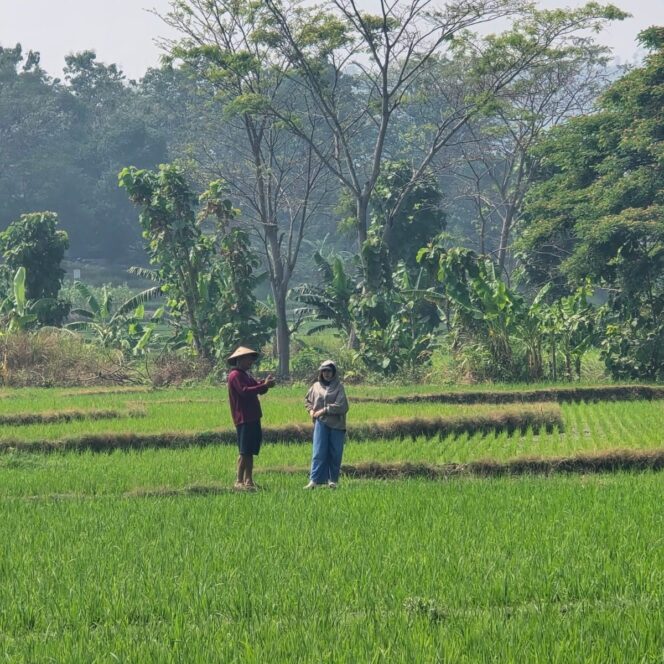 
					Kegiatan Pengukuran Tanah Menuju Kabupaten Wonogiri Lengkap