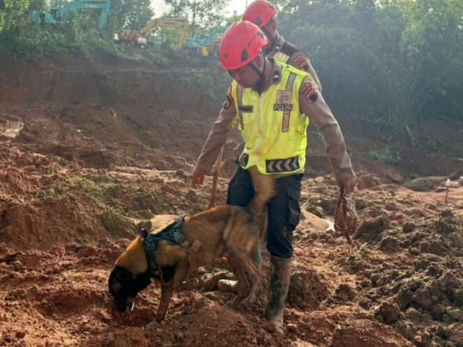 
					Pencarian Korban Longsor Banjarnegara Terkendala Tanah Labil, Tim Gabungan Kerja dengan Manajemen Risiko Ketat