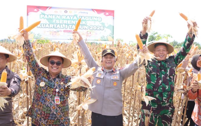 
					Panen Jagung Serentak di Sidoharjo, Polres Wonogiri bersama Forkopimda Sinergi dengan Petani Perkuat Ketahanan Pangan