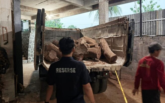 
					Tebang Kayu Sonokeling di Lahan Perhutani Wonogiri, 2 Warga Ditangkap