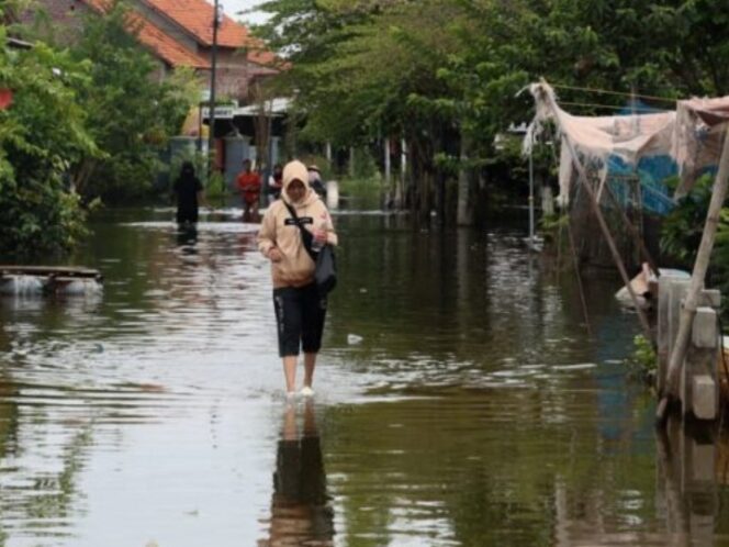 
					Wagub Jateng Respon Cepat Aduan Warga Terkait Banjir Pekalongan, Segera Kerahkan Alat Berat