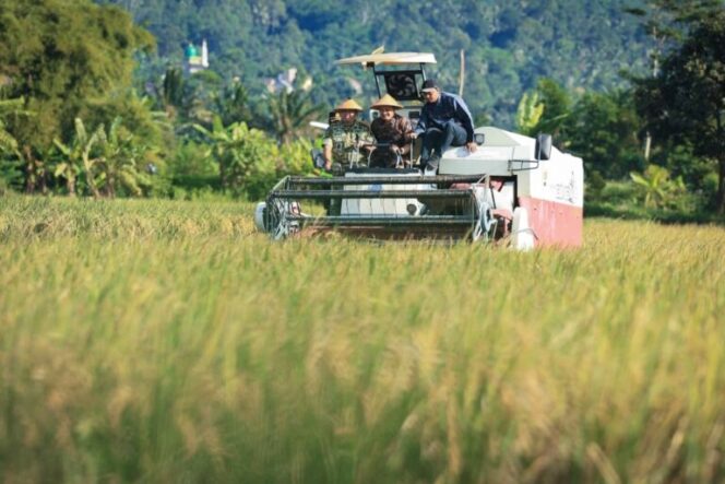 
					Jateng Mulai Panen Raya Padi, Diperkirakan 3 Bulan Bisa Hasilkan 3,35 Juta Ton
