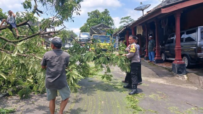 
					Polisi Gercep Tangani Pohon Tumbang di Sidoharjo Wonogiri