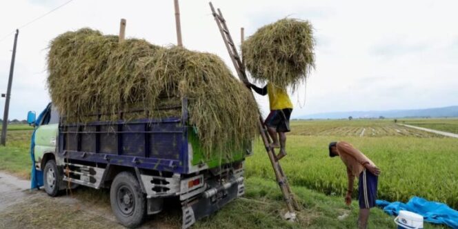 
					Jateng Terus Tancap Gas Menuju Swasembada Pangan, Ini Strategi Nyatanya