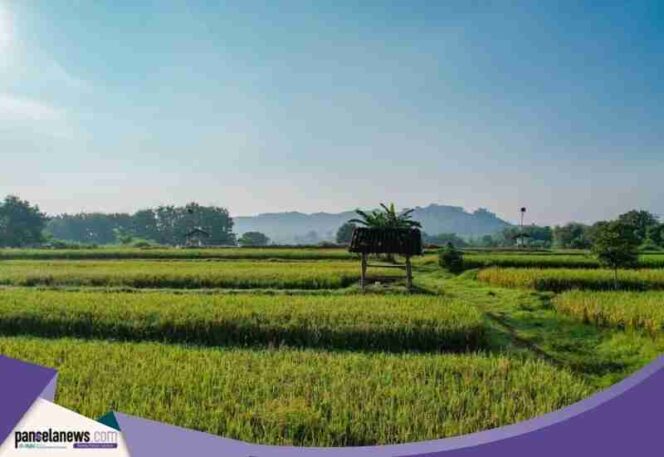 
					Perlindungan lahan sawah produktif menjadi kunci terwujudnya swasembada pangan. (Foto: Normawan/ Kantah Wonogiri)