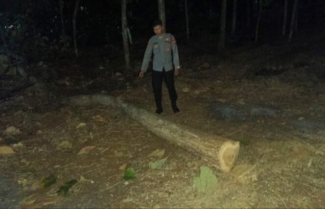 
					Kakek di Jatisrono Wonogiri Meninggal Dunia Usai Terjatuh dari Pohon Jati, Polisi Pastikan Tidak Ada Unsur Pidana