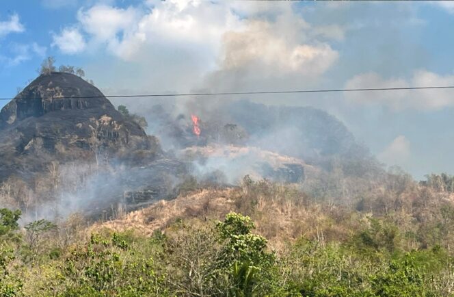 
					Puncak Musim Kemarau, Polda Jateng Perkuat Deteksi Dini dan Imbau Masyarakat Tidak Membakar Lahan